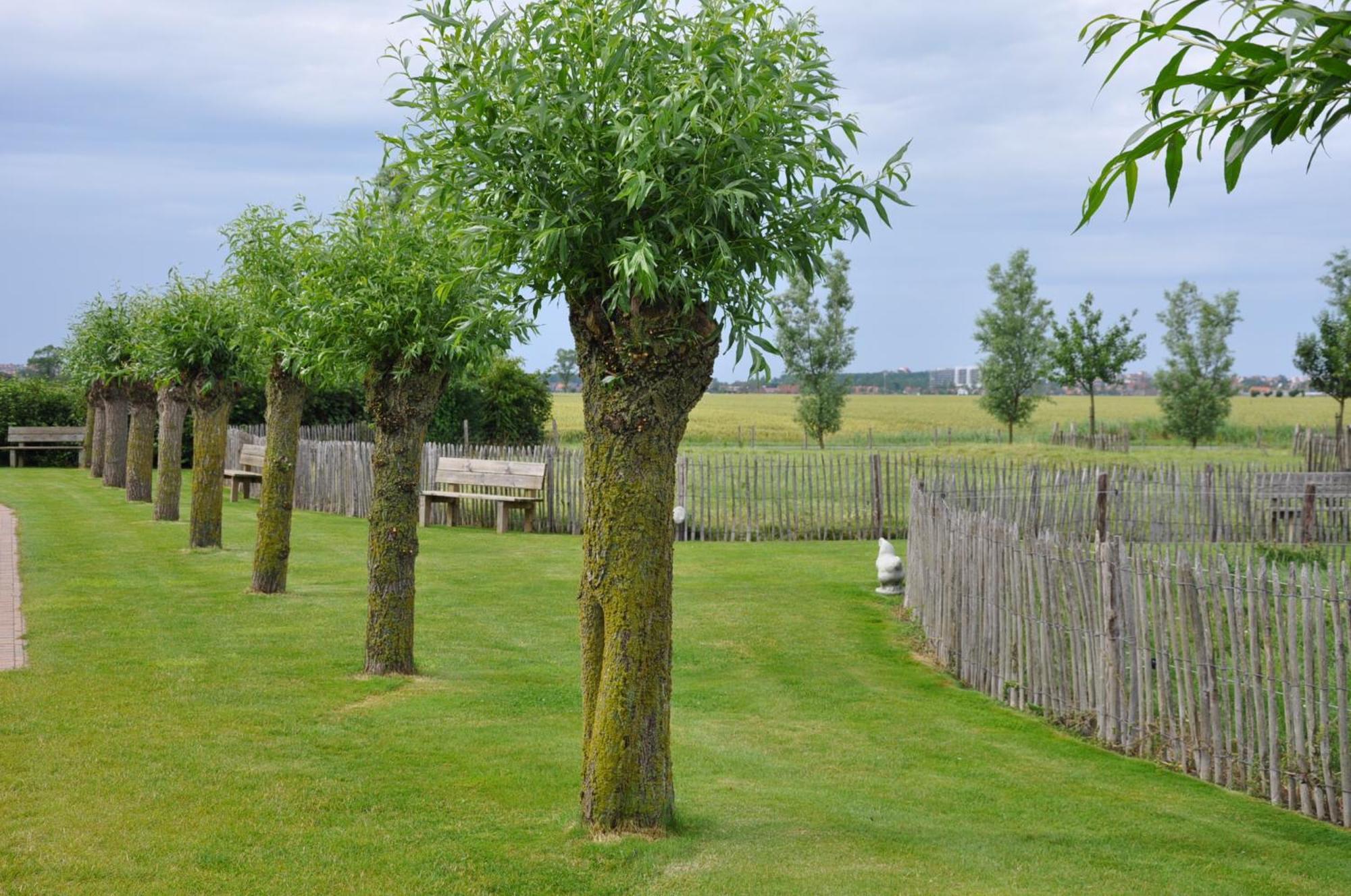B&B Knotwilgenhoeve Knokke-Heist Ngoại thất bức ảnh